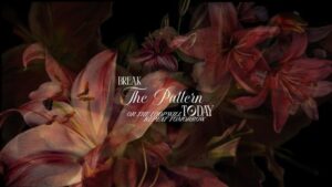 c6b989fff89397237a5932610fabea79